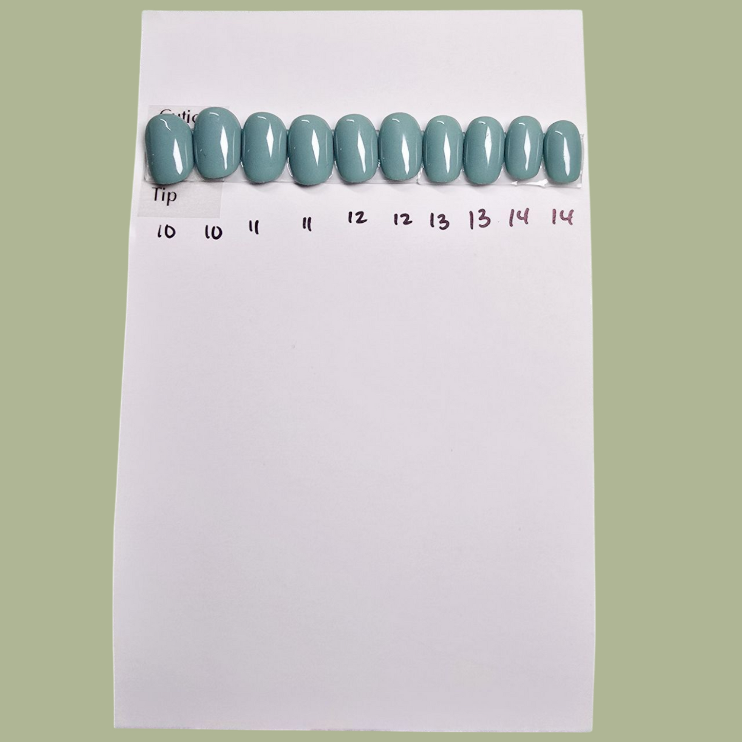 Sage - XXShort Round - 20+ Nails
