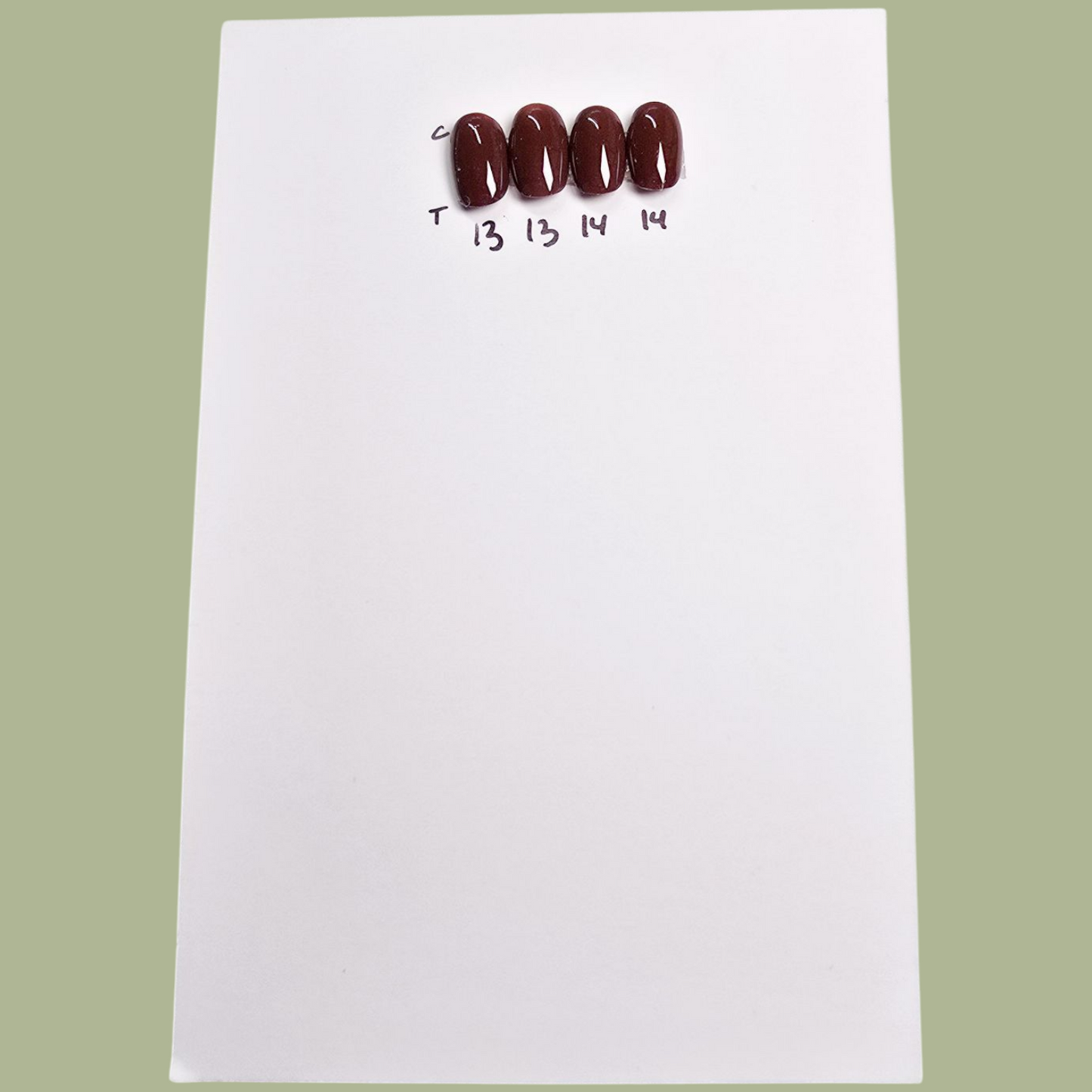 Latte - XXShort Round - 20+ Nails