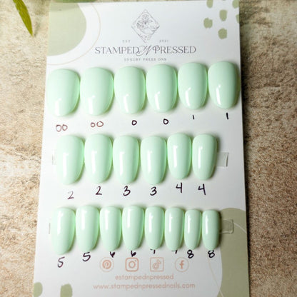 Tea Leaf - Short Round - 20+ Nails